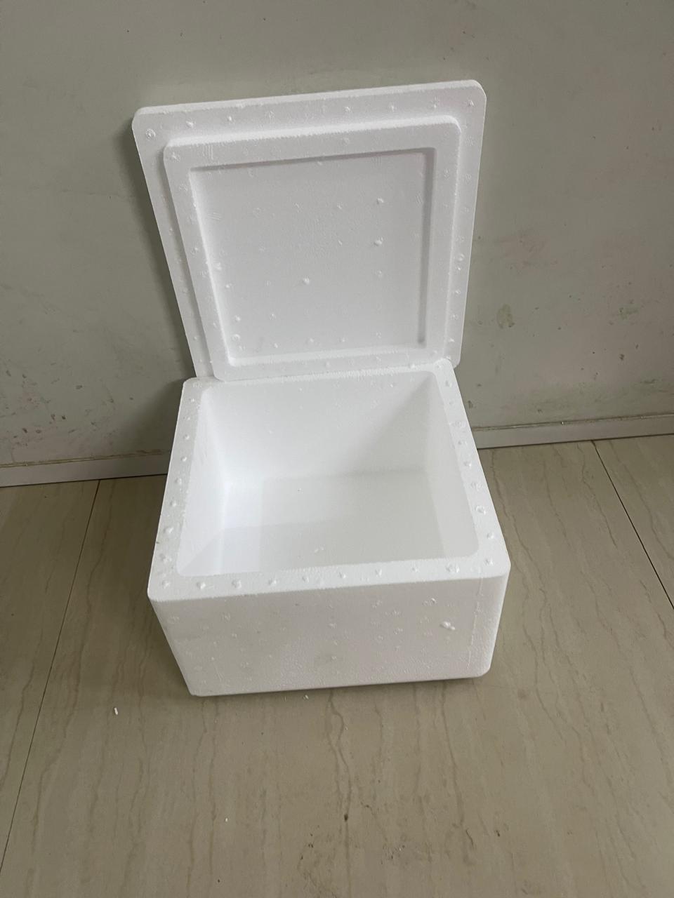8L Thermocol Ice Box